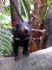 20080827 - Australia Zoo Tasmanian Devil